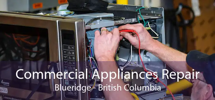 Commercial Appliances Repair Blueridge - British Columbia
