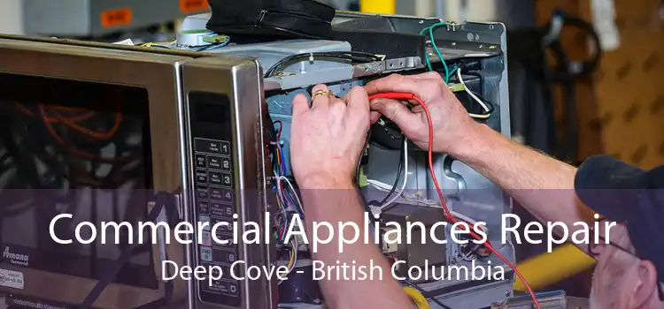 Commercial Appliances Repair Deep Cove - British Columbia
