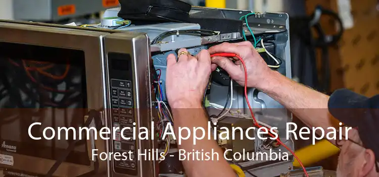 Commercial Appliances Repair Forest Hills - British Columbia