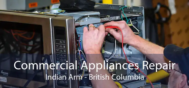 Commercial Appliances Repair Indian Arm - British Columbia