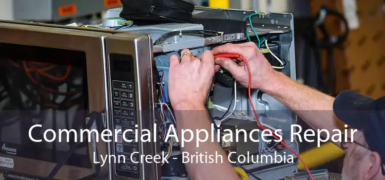 Commercial Appliances Repair Lynn Creek - British Columbia