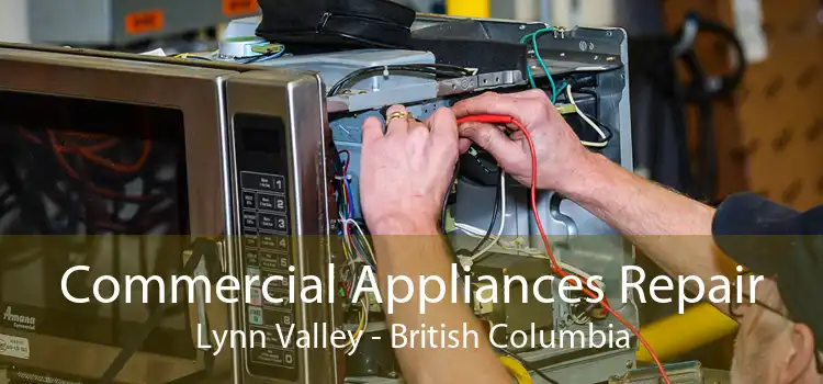 Commercial Appliances Repair Lynn Valley - British Columbia