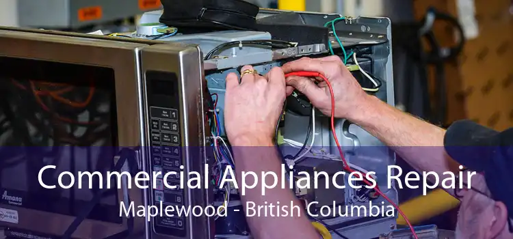 Commercial Appliances Repair Maplewood - British Columbia