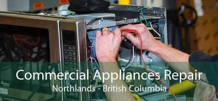 Commercial Appliances Repair Northlands - British Columbia