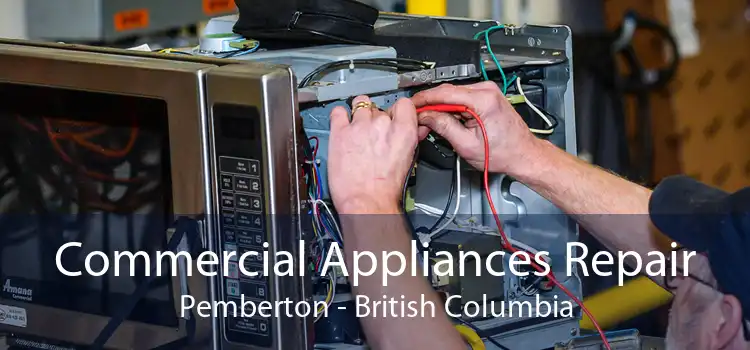 Commercial Appliances Repair Pemberton - British Columbia