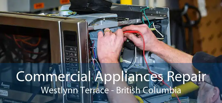 Commercial Appliances Repair Westlynn Terrace - British Columbia