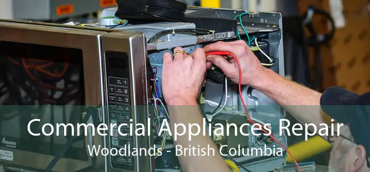 Commercial Appliances Repair Woodlands - British Columbia