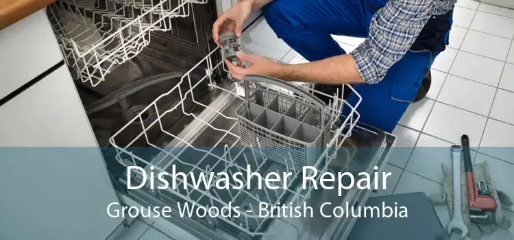 Dishwasher Repair Grouse Woods - British Columbia