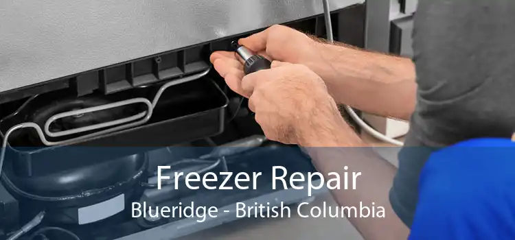 Freezer Repair Blueridge - British Columbia