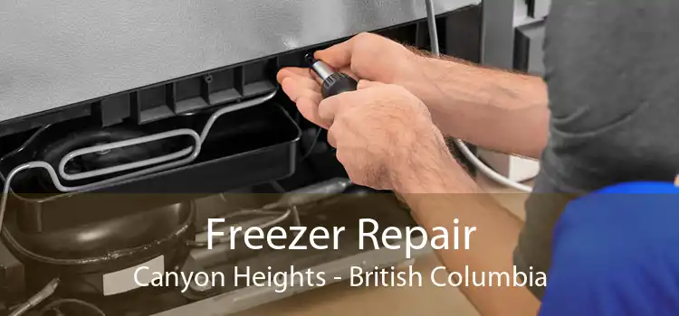 Freezer Repair Canyon Heights - British Columbia