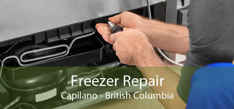 Freezer Repair Capilano - British Columbia