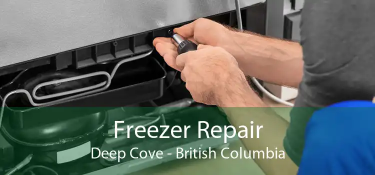 Freezer Repair Deep Cove - British Columbia