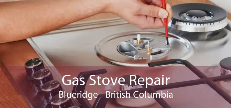 Gas Stove Repair Blueridge - British Columbia