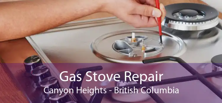 Gas Stove Repair Canyon Heights - British Columbia
