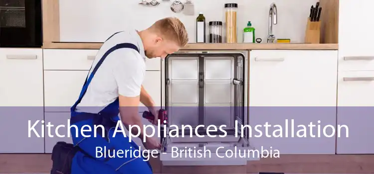 Kitchen Appliances Installation Blueridge - British Columbia