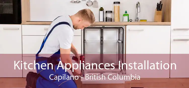 Kitchen Appliances Installation Capilano - British Columbia