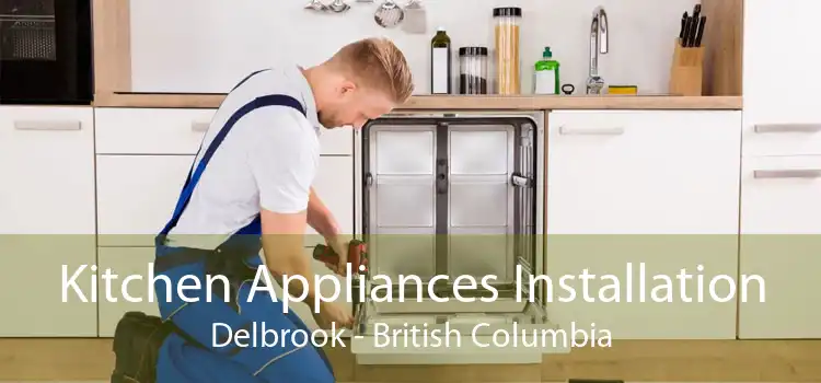Kitchen Appliances Installation Delbrook - British Columbia