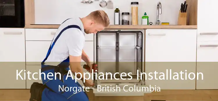 Kitchen Appliances Installation Norgate - British Columbia