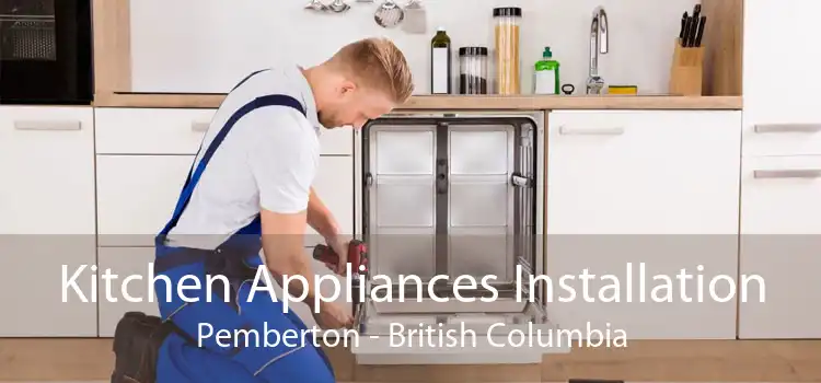 Kitchen Appliances Installation Pemberton - British Columbia
