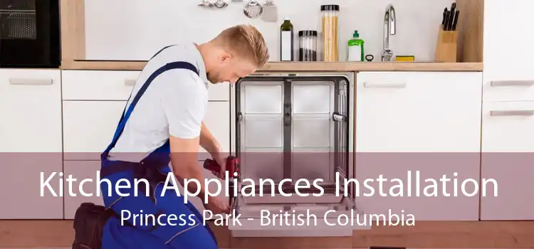 Kitchen Appliances Installation Princess Park - British Columbia