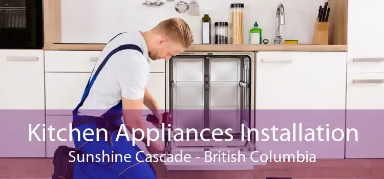 Kitchen Appliances Installation Sunshine Cascade - British Columbia