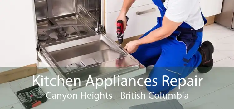 Kitchen Appliances Repair Canyon Heights - British Columbia