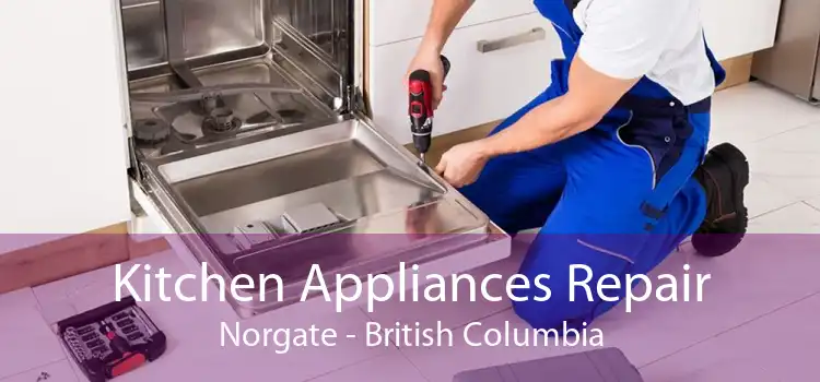Kitchen Appliances Repair Norgate - British Columbia