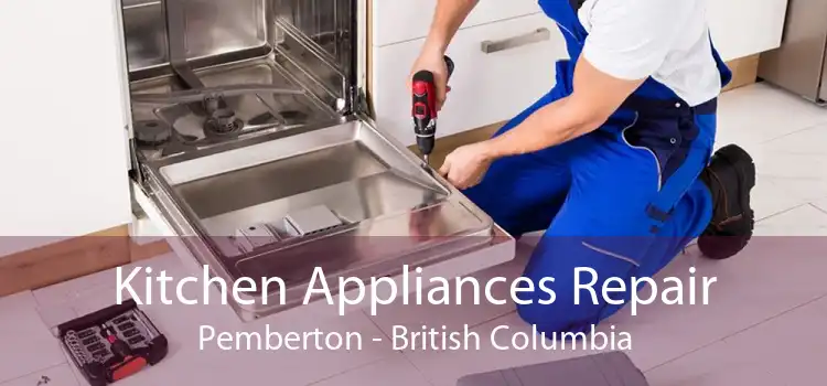 Kitchen Appliances Repair Pemberton - British Columbia