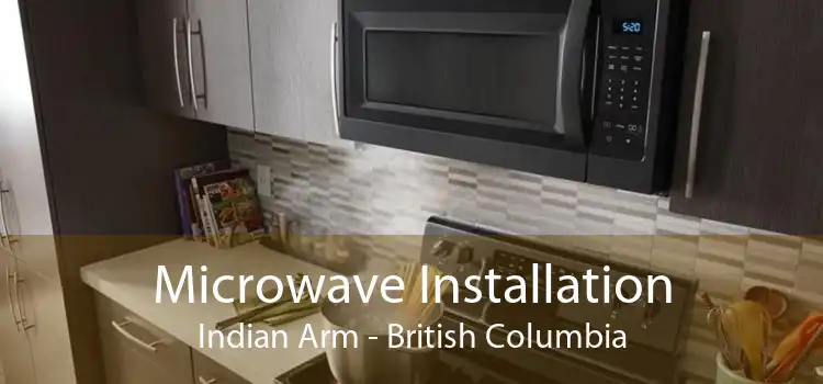 Microwave Installation Indian Arm - British Columbia