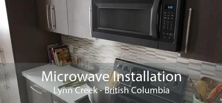 Microwave Installation Lynn Creek - British Columbia