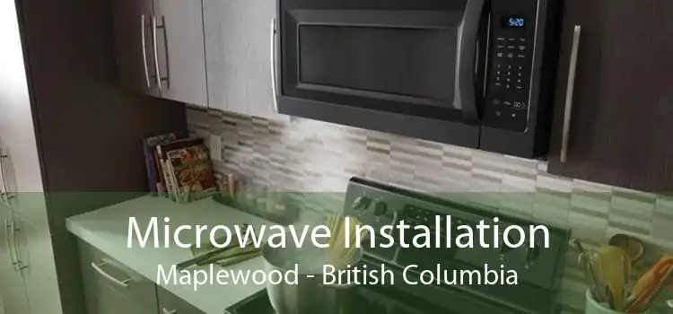 Microwave Installation Maplewood - British Columbia