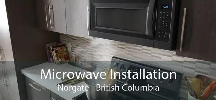 Microwave Installation Norgate - British Columbia