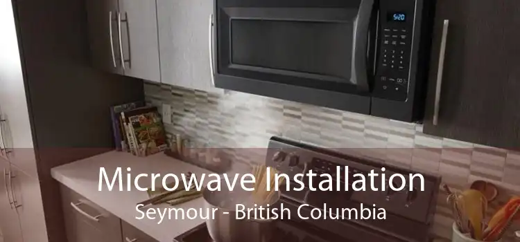 Microwave Installation Seymour - British Columbia