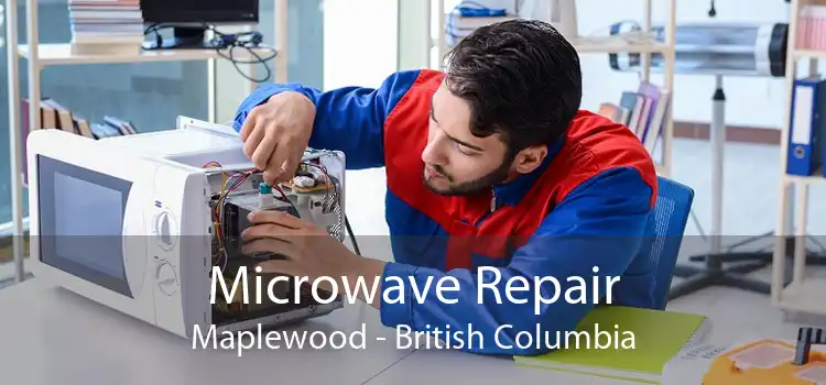 Microwave Repair Maplewood - British Columbia