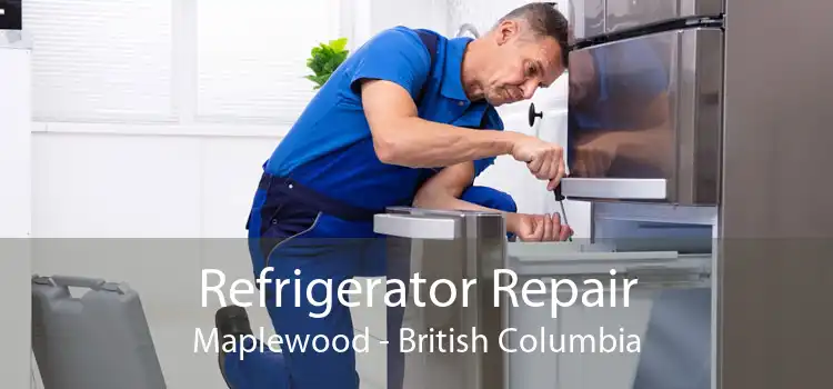 Refrigerator Repair Maplewood - British Columbia