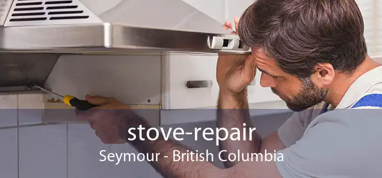 stove-repair Seymour - British Columbia