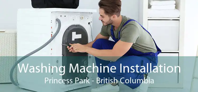 Washing Machine Installation Princess Park - British Columbia