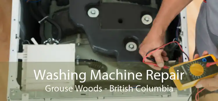 Washing Machine Repair Grouse Woods - British Columbia